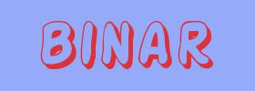 sin&oacute;nimo de Binar