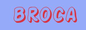 sinónimo de Broca