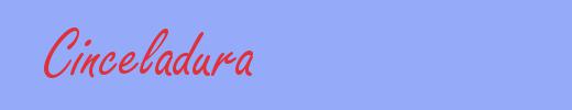 sin&oacute;nimo de Cinceladura