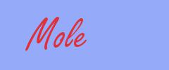sinónimo de Mole