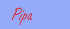 sinónimo de Pipa