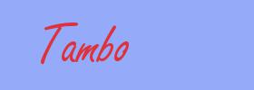 sinónimo de Tambo