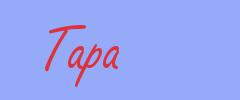 sinónimo de Tapa